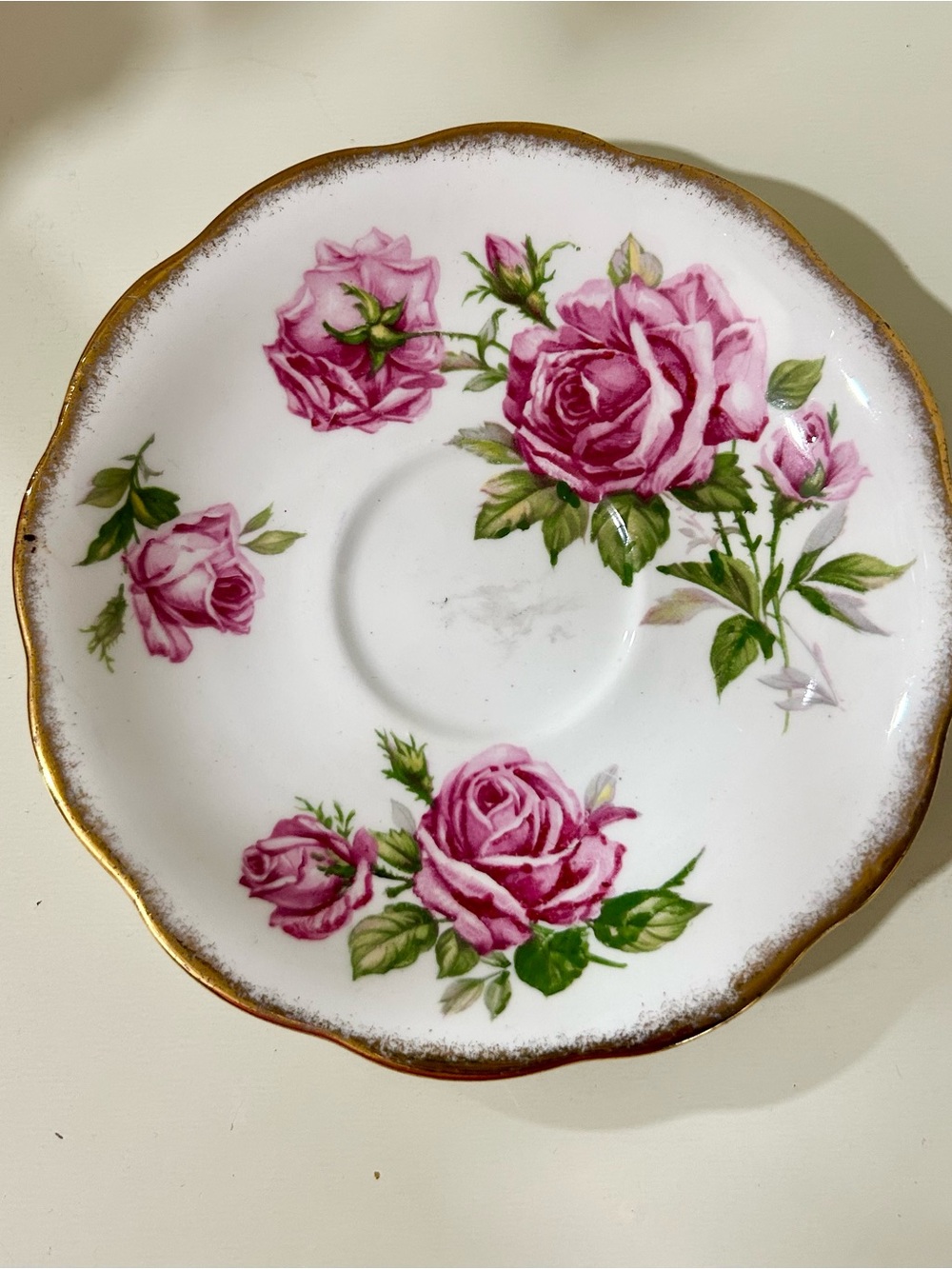 Royal Standard Orleans Rose China Saucer with Gold Trim